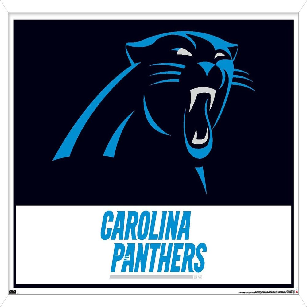 Trends International NFL Carolina Panthers - Logo 21 Wall Poster, 34L x 22.4W, White Framed Version