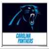 Trends International NFL Carolina Panthers - Logo 21 Wall Poster, 34L x 22.4W, White Framed Version view 1
