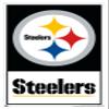 NFL Pittsburgh Steelers - Logo 21 Wall Poster, 34L" x 22.4W", White Framed Version view 1