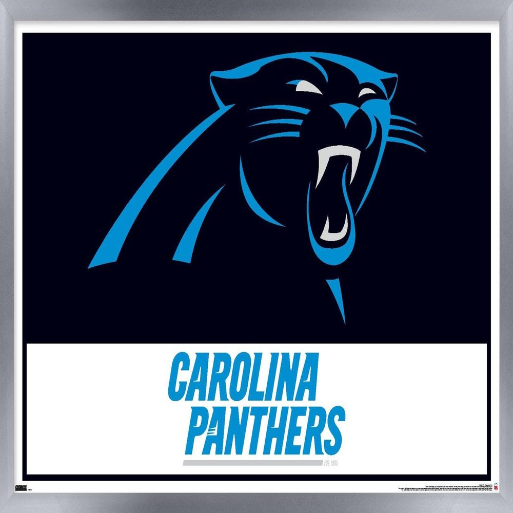 Trends International NFL Carolina Panthers - Logo 21 Wall Poster, 34L x 22.4W, Silver Framed Version