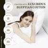 Ashton Sheets Egyptian Cotton Twin Size Duvet Cover Only - Premium 600 Thread Count Egyptian Cotton Soft Sateen Weave Comforter Cover, Zipper Closure & Corner Ties (1 Pc, Silver Grey, Twin/Twin XL) view 2