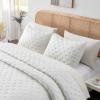 HIARUO 3-Piece Queen Quilt Set - Soft Warm Ultrasonic Reversible Coverlet Bedspread Set (90 x 90 Inch) with 2 Pillow Sham (20 x 26 Inch), White view 2