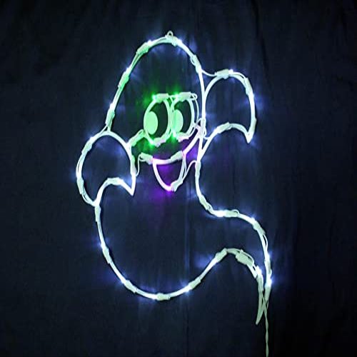 20" LED Ghost Outdoor Window Display
