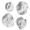 BLACK FOREST DECOR Sea Coral Wall Art - Set of 4 view 1