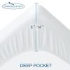 2 Pack Twin Mattress Protector Waterproof Mattress Pad Cover for Kids Soft & Breathable Noiseless Fits up -14'' Depth Skin-Friendly Machine Wash Mattress Topper Protector Twin Sheets view 2