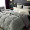 BDMFJY Winter Cashmere Quilt Thicken Warm Fuzzy Quilt Super Soft Lamb Velvet Quilt for Double Bed Autumn and Winter Warm Quilt,Gray,180x200 cm (3kg) view 3