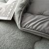 BDMFJY Winter Cashmere Quilt Thicken Warm Fuzzy Quilt Super Soft Lamb Velvet Quilt for Double Bed Autumn and Winter Warm Quilt,Gray,180x200 cm (3kg) view 4