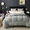 BDMFJY Winter Cashmere Quilt Thicken Warm Fuzzy Quilt Super Soft Lamb Velvet Quilt for Double Bed Autumn and Winter Warm Quilt,Gray,200x230 cm (3.5kg) view 2