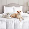 AMAY Giza Cotton, 500 Thread Count 3-Piece Duvet Cover Set, Super, Luxurious, Stylish - RV Short Queen Red Solid view 3