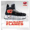 Trends International NHL Calgary Flames - Drip Skate 21 Wall Poster, 22.375" x 34", White Framed Version view 1