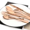 Snplowum 24-Piece Copper Flatware, Mirror 18/10 Stainless Steel Modern & Luxury Dinnerware Set With Serrated Steak Knife Teaspoon For Daily Use or Dinner Party Restaurant - Service For 4 view 3