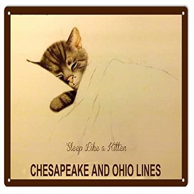 ArtFuzz Chesapeake And Ohio Lines Railroad Sign 9x12