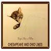 ArtFuzz Chesapeake And Ohio Lines Railroad Sign 9x12 view 1
