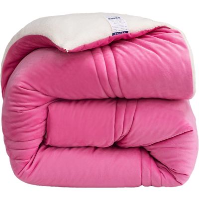 BDMFJY Winter Cashmere Quilt Super Soft Lamb Velvet Quilt for Double Bed Autumn and Winter Warm Quilt Thicken Warm Fuzzy Quilt,B,180x220cm (3kg)