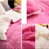 BDMFJY Winter Cashmere Quilt Super Soft Lamb Velvet Quilt for Double Bed Autumn and Winter Warm Quilt Thicken Warm Fuzzy Quilt,B,180x220cm (3kg) view 3