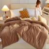 BDMFJY Winter Cashmere Quilt Super Soft Lamb Velvet Quilt for Double Bed Autumn and Winter Warm Quilt Thicken Warm Fuzzy Quilt,F,200x230cm (3.5kg) view 3