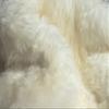 HomeRoots 2' X 3' Natural New Zealand Sheepskin Wool Area Rug in White view 4