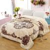 Korean Mink Blanket Heavy Fleece Blanket Twin (60"x80", 5 lbs) Korean 2 Ply Blanket Red Mouse Head Soft Warm Thick Plush Fleece Raschel Bed Blanket for Autumn,Winter,Bed,Home,Gifts view 1