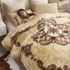 Korean Mink Blanket Heavy Fleece Blanket Twin (60"x80", 5 lbs) Korean 2 Ply Blanket Red Mouse Head Soft Warm Thick Plush Fleece Raschel Bed Blanket for Autumn,Winter,Bed,Home,Gifts view 4