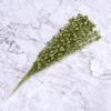 Babody 50 Pcs Artificial Glitter Berry Stem Ornaments,Foam Christmas Picks Glitter Sticks,Berry Twig Foam Stem Decorations for DIY Xmas Crafts Wedding Holiday Home Decor view 3