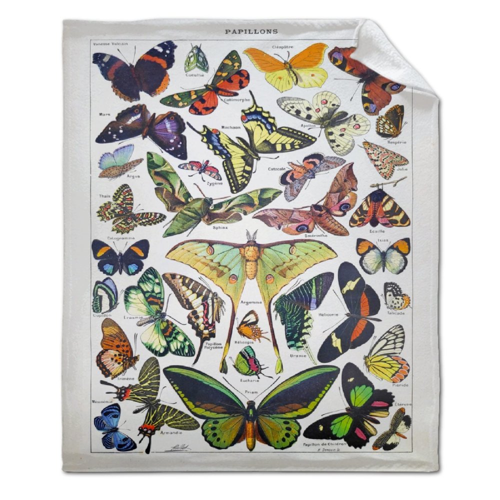 ARTBLANKET Vintage French Butterfly Moth Throw Blanket Fannel Fleece Super Soft Funny Blanket Travel Throw Blanket for Bed Couch Sofa 120x90 in for Family