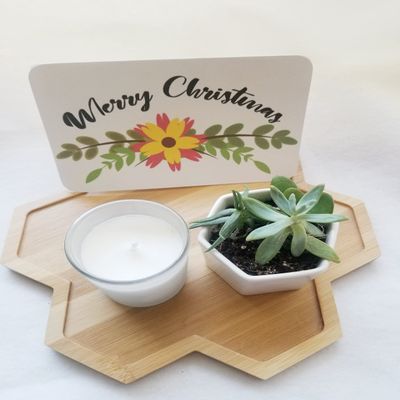 Christmas gift box Send a succulent gift box Happy Holidays gift package pre filled gift box. (Back engraving only-Gold, Card Style - Merry Christmas 4)