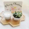Christmas gift box Send a succulent gift box Happy Holidays gift package pre filled gift box. (Back engraving only-Gold, Card Style - Merry Christmas 4) view 4