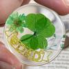 KIN-HEBI Real Four Leaf Clover Good Luck Pocket Token, Preserved, 1.25, Including Cutout Good Luck Word (DAD & Dried Flower) view 4
