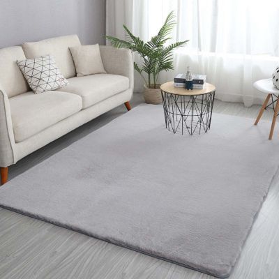 XYXH Area Rug Modern Soft 2x4ft, Shaggy Rugs Fluffy Carpets, Furry Rugs for Living Room Bedroom, Fuzzy Rugs for Nursery Dorm, Shag Area Rugs for Girls Boys Room (F 60x120cm)