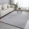 XYXH Area Rug Modern Soft 2x4ft, Shaggy Rugs Fluffy Carpets, Furry Rugs for Living Room Bedroom, Fuzzy Rugs for Nursery Dorm, Shag Area Rugs for Girls Boys Room (F 60x120cm) view 1