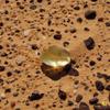 Regulus Libyan Desert Glass Genuine Glass Cosmic Meteorite - Golden Tektite Healing Rock (40-50cts) view 2