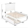 AFI NoHo Queen Size Platform Bed with Twin XL Trundle & Charging Station in White view 3