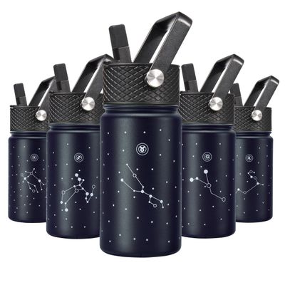 BJPKPK Insulated Water Bottle, 15oz Stainless Steel with Straw Lid