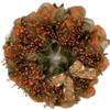Harvest Pip Berries Autumn Handmade Deco Mesh Wreath. Available in 24 inch and 28 inch diameters view 1