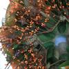Harvest Pip Berries Autumn Handmade Deco Mesh Wreath. Available in 24 inch and 28 inch diameters view 2