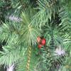 YKHB Artificial Xmas Tree Bushy Xmas Trees, Green Artificial Christmas Trees with Metal Stand Simulation Tree 120cm/3.9ft view 3