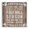 Stupell Industries Time of Year Football Season Rustic Sports Phrase, Designed by CAD Designs Gray Framed Wall Art, 12 x 12, White view 1