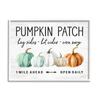 Stupell Industries Pumpkin Patch Farmhouse Sign Autumn Orange Green Gourds view 1
