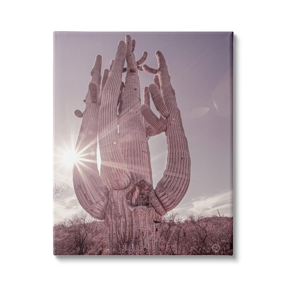 Stupell Industries Desert Sun Cactus Landscape Solar Flare Photography