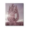 Stupell Industries Desert Sun Cactus Landscape Solar Flare Photography view 1