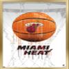 Trends International NBA Miami Heat - Drip Basketball 21 Wall Poster, 14.725" x 22.375", Gold Framed Version view 1