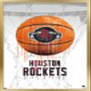 Trends International NBA Houston Rockets - Drip Basketball 21 Wall Poster, 22.375" x 34", Gold Framed Version view 1