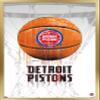 Trends International NBA Detroit Pistons - Drip Basketball 21 Wall Poster, 14.725" x 22.375", Gold Framed Version view 1
