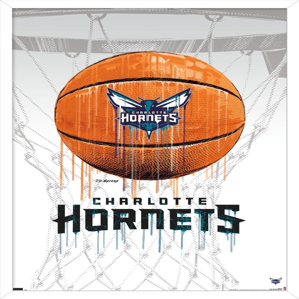 Trends International NBA Charlotte Hornets - Drip Basketball 21 Wall Poster, 14.725" x 22.375", White Framed Version