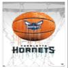 Trends International NBA Charlotte Hornets - Drip Basketball 21 Wall Poster, 14.725" x 22.375", White Framed Version view 1