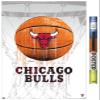 Trends International NBA Chicago Bulls - Drip Basketball 21 Wall Poster, 22.375" x 34", Poster & Clip Bundle view 1