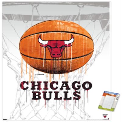 Trends International NBA Chicago Bulls - Drip Basketball 21 Wall Poster, 22.375" x 34", Poster & Mount Bundle