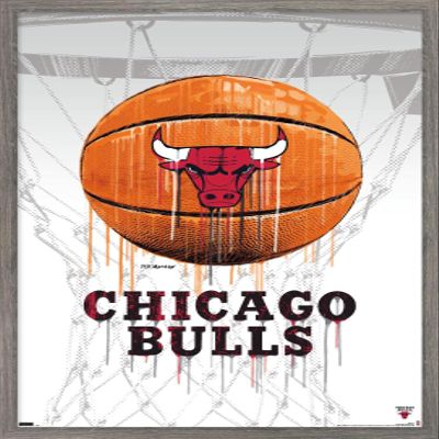 Trends International NBA Chicago Bulls - Drip Basketball 21 Wall Poster, 22.375" x 34", Barnwood Framed Version