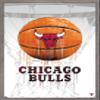 Trends International NBA Chicago Bulls - Drip Basketball 21 Wall Poster, 22.375" x 34", Barnwood Framed Version view 1