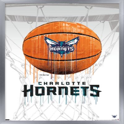 Trends International NBA Charlotte Hornets - Drip Basketball 21 Wall Poster, 22.375" x 34", Silver Framed Version